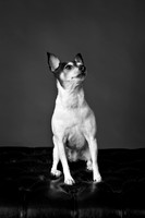 _H4A3314-Edit