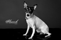 _H4A3218-Edit - Copy