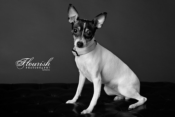 _H4A3218-Edit - Copy