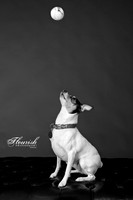 _H4A3285-Edit - Copy