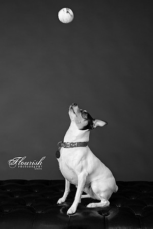 _H4A3285-Edit - Copy