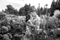 _H4A7298-Edit - Copy