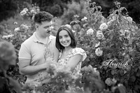 _H4A7327-Edit - Copy