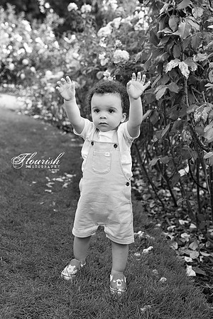_H4A0736-Edit - Copy