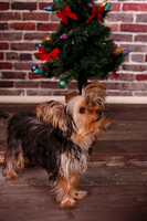 IMG_6811-Edit