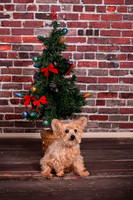 IMG_6773-Edit