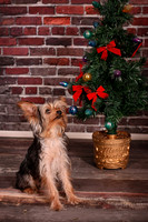 IMG_6850-Edit