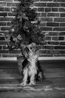 IMG_6828-Edit