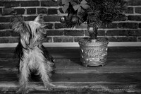 IMG_6839-Edit