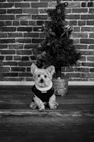IMG_6758-Edit