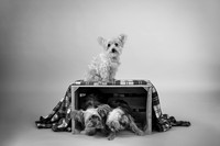 IMG_6882-Edit