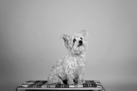 IMG_6916-Edit
