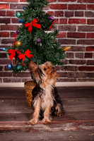 IMG_6828-Edit