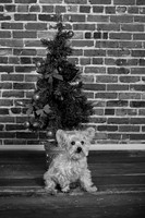 IMG_6773-Edit