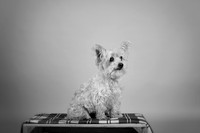 IMG_6917-Edit