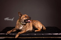 9I6A7012-Edit - Copy