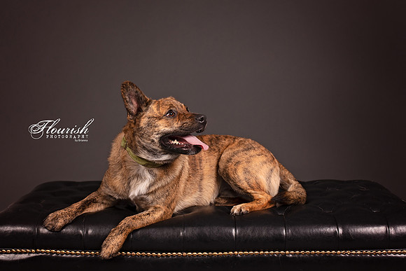 9I6A7012-Edit - Copy