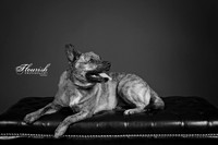9I6A7012-Edit - Copy