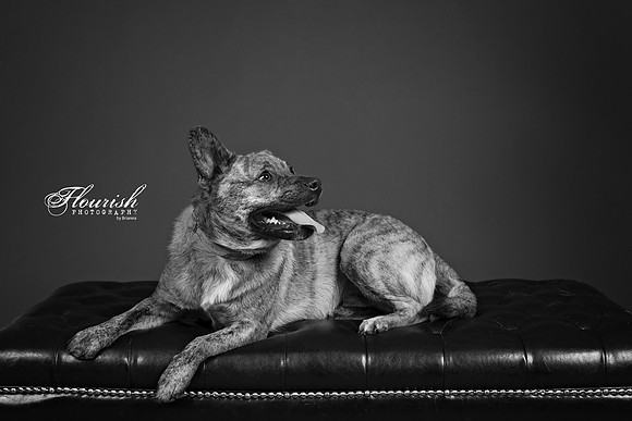 9I6A7012-Edit - Copy