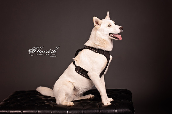 9I6A6981-Edit - Copy