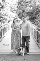 _H4A2281-Edit - Copy