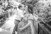 _H4A2400-Edit - Copy