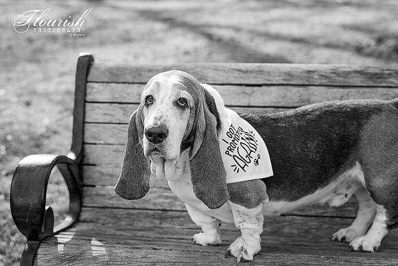 _H4A2514-Edit - Copy