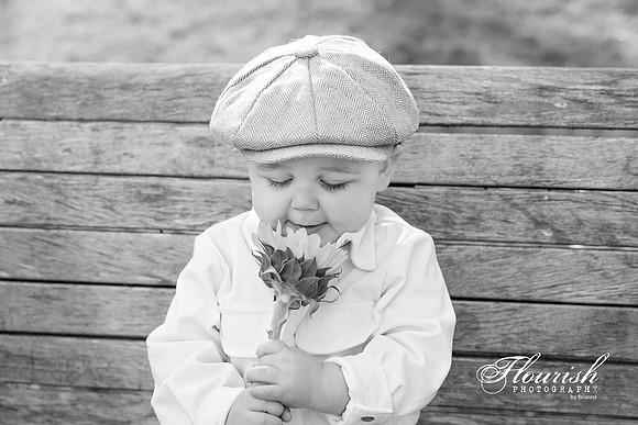 _H4A2553-Edit - Copy