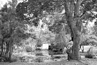 _H4A4843-Edit - Copy