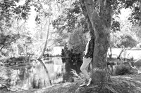 _H4A3437-Edit - Copy