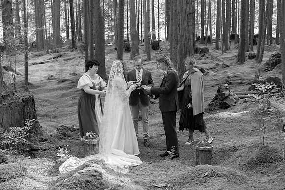_H4A1617