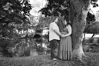 _H4A7254-Edit - Copy