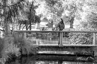 _H4A3422-Edit - Copy