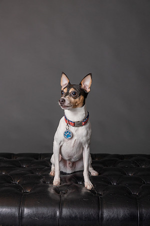 _H4A3477