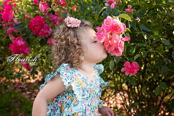 _H4A4800-Edit - Copy