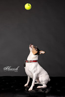 _H4A3285-Edit - Copy