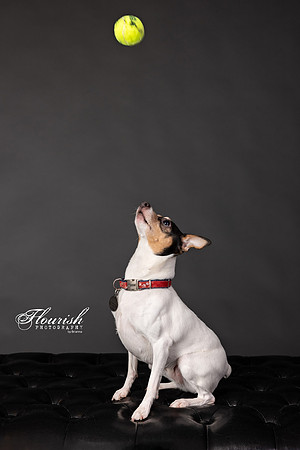 _H4A3285-Edit - Copy