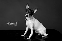 _H4A3220-Edit - Copy