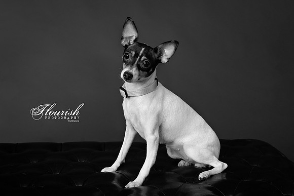 _H4A3220-Edit - Copy