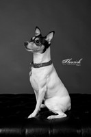 _H4A3287-Edit - Copy