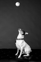 _H4A3285-Edit