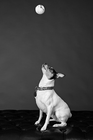 _H4A3285-Edit