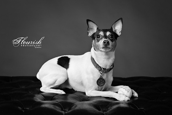 _H4A3296-Edit - Copy
