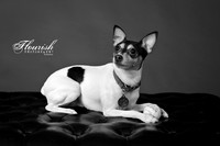 _H4A3294-Edit - Copy