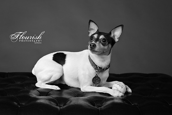 _H4A3294-Edit - Copy