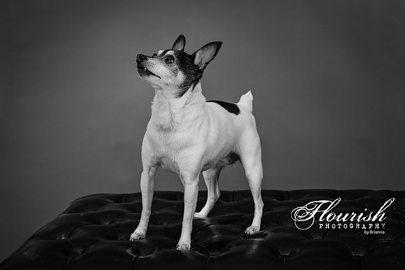 _H4A3322-Edit - Copy