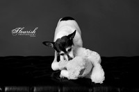 _H4A3299-Edit - Copy