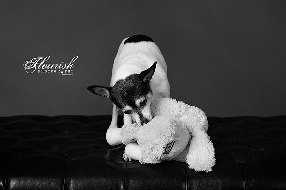 _H4A3299-Edit - Copy