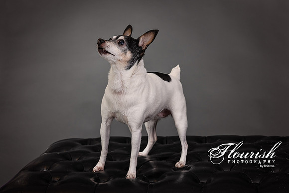 _H4A3322-Edit - Copy