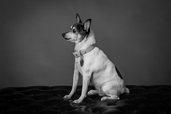_H4A3498-Edit